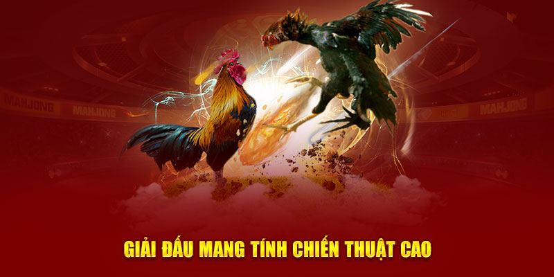 Giải đấu mang tính chiến thuật cao 