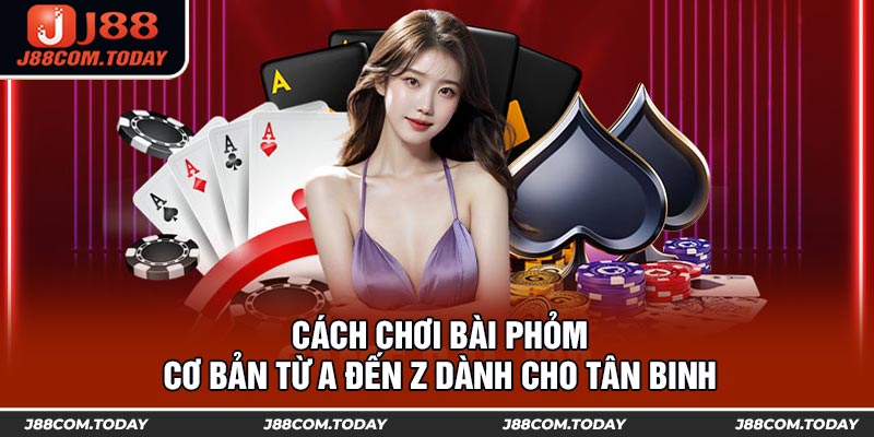 Cách Chơi Bài Phỏm Cơ Bản Từ A Đến Z Dành Cho Tân Binh