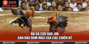 Đá Gà Cựa Dao J88 - Sàn Đấu Đẫm Máu Của Các Chiến Kê